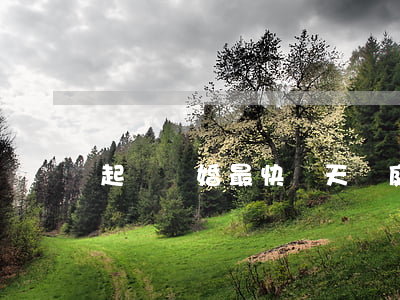 起訴離婚最快幾天開庭