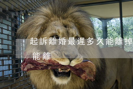起訴離婚最遲多久能離掉(起訴離婚需要多久能離)