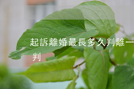 起訴離婚最長多久判離(一般起訴離婚多久能判)