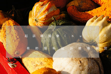 起訴離婚會(huì)不會(huì)查所有的隱私(起訴離婚查對(duì)方財(cái)產(chǎn)可以查多長(zhǎng)時(shí)間的)