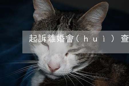 起訴離婚會(huì)查第三者