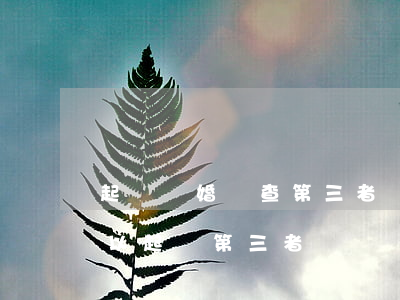 起訴離婚會查第三者嗎(第三者導致離婚的,可以起訴第三者嗎)