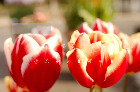 起訴離婚有一方不去怎么辦(起訴離婚如果一方不到的話可以嗎?)