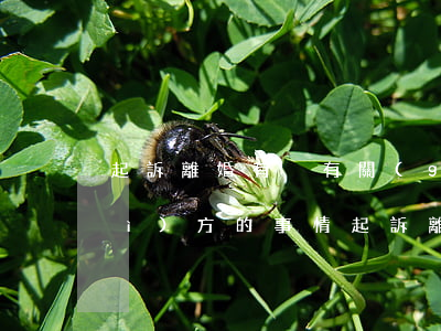 起訴離婚有沒有關(guān)于對(duì)方的事情(起訴離婚對(duì)雙方有什么影響)