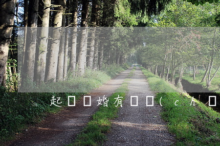 起訴離婚有財產(chǎn)爭議怎么辦