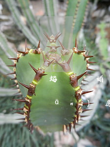 起訴離婚期間的房貸月供雙方怎么分擔(dān)(房子貸款期間離婚怎么判)
