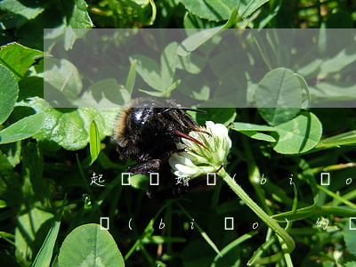 起訴離婚標(biāo)的填多少(離婚訴訟標(biāo)的額怎么填寫)