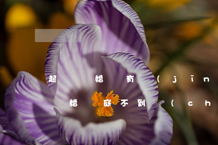 起訴離婚沒有經(jīng)過開庭怎么辦(離婚開庭不到場(chǎng)怎么處理)