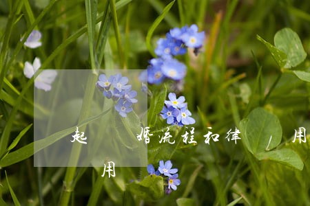 起訴離婚流程和律師費用(離婚起訴的流程及費用標準)
