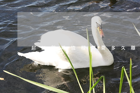 起訴離婚流程需要多久(離婚訴訟流程需要多長時間)