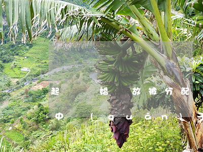 起訴離婚無故被分配債務(wù)(離婚案件中關(guān)于債務(wù)的判決)