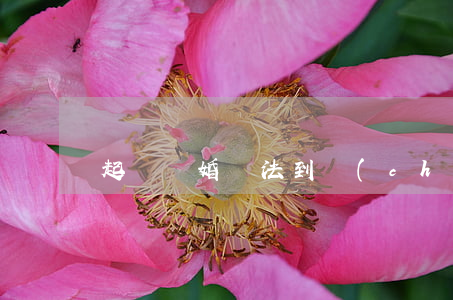 起訴離婚無法到場(chǎng)怎么辦
