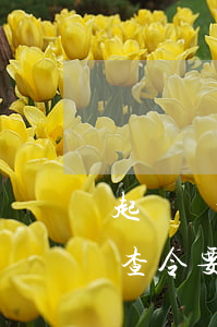 起訴離婚申請(qǐng)調(diào)查令要多久(起訴離婚最長需要多長時(shí)間可以辦理下來)