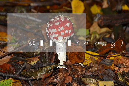 起訴離婚當(dāng)天可立案嗎