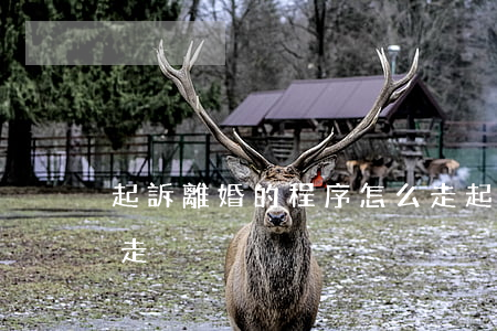 起訴離婚的程序怎么走(起訴離婚的程序怎么走)