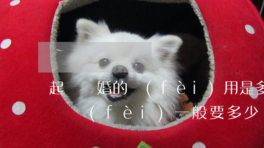 起訴離婚的費(fèi)用是多少錢(離婚起訴費(fèi)一般要多少錢)