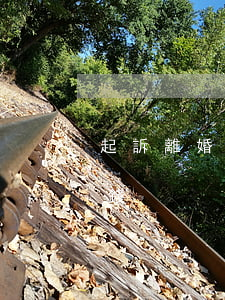 起訴離婚的費用是多少(單方起訴離婚要多少錢)