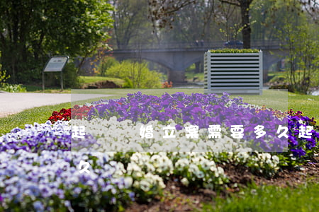 起訴離婚立案需要多久(起訴離婚立案需要多久)