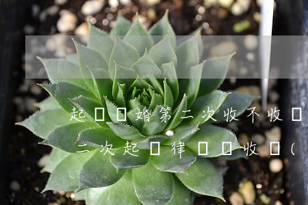 起訴離婚第二次收不收費(fèi)(離婚案二次起訴律師還收費(fèi)么)