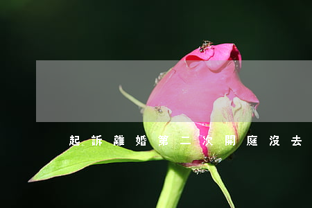 起訴離婚第二次開庭沒去該怎么辦