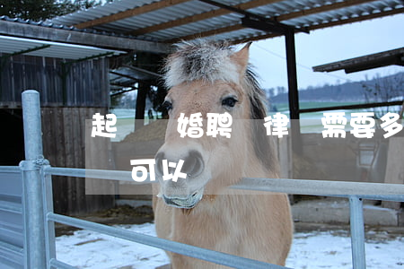 起訴離婚聘請律師需要多少錢(離婚律師多少錢可以請)