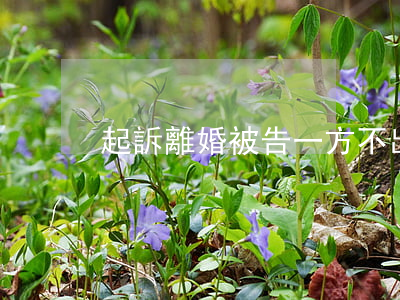 起訴離婚，被告一方不出庭怎么辦