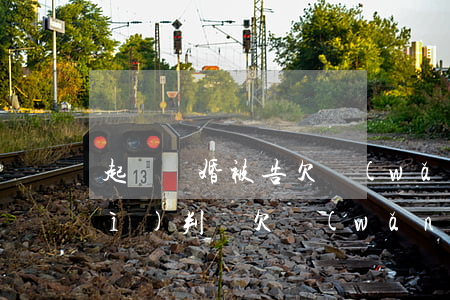 起訴離婚被告欠網(wǎng)貸會(huì)判嗎(欠網(wǎng)貸會(huì)被法院起訴嗎)