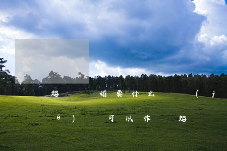 起訴離婚要什么證據(jù)(離婚協(xié)議可以作為起訴離婚的證據(jù)嗎)