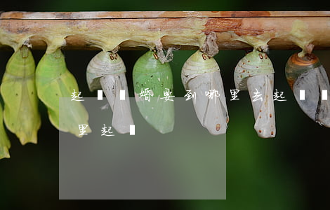 起訴離婚要到哪里去起訴(離婚起訴需要在哪里起訴)