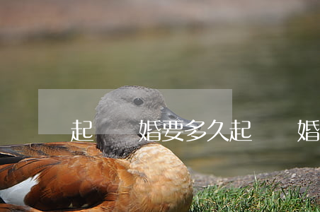 起訴離婚要多久(起訴離婚要多久才能離婚)