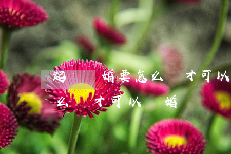 起訴離婚要怎么樣才可以離婚(起訴離婚要怎么樣才可以離婚)