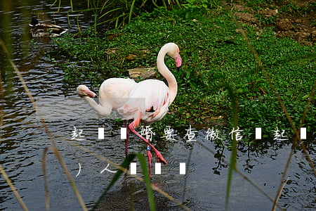 起訴離婚要查微信嗎(起訴離婚要查個(gè)人賬戶嗎)
