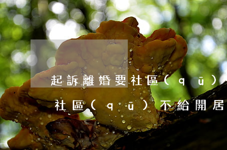 起訴離婚要社區(qū)開證明嗎(起訴離婚社區(qū)不給開居住證明怎么辦)