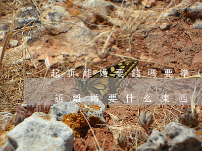起訴離婚要錢嗎 要準(zhǔn)備什么(起訴離婚要什么東西)
