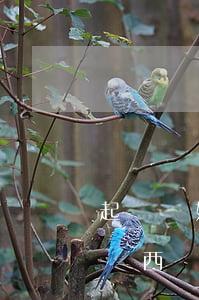 起訴離婚要錢嗎 要準備什么(起訴離婚要什么東西)