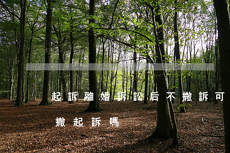 起訴離婚訴訟后不撤訴可以嗎(起訴離婚可以撤起訴嗎)