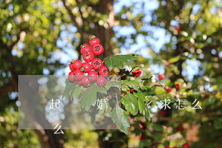 起訴離婚訴訟請求怎么寫(離婚申請訴訟書怎么寫)