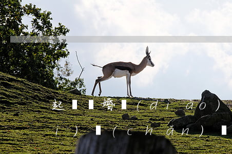 起訴離婚調(diào)查了一把財(cái)產(chǎn)還可以再調(diào)查嗎(如果離婚法院會(huì)調(diào)查有沒(méi)有共同財(cái)產(chǎn))