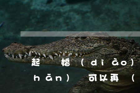 起訴離婚調(diào)查了一把財產(chǎn)還可以再調(diào)查嗎(如果離婚法院會調(diào)查有沒有共同財產(chǎn))