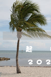 起訴離婚費(fèi)用2021年多少錢(2021年婚姻法起訴離婚要多久)