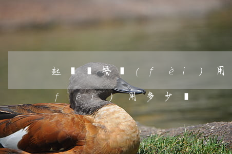 起訴離婚費(fèi)用多少(起訴離婚費(fèi)用多少錢)