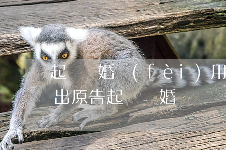起訴離婚費(fèi)用是原告出還是被告出(原告起訴離婚訴訟費(fèi)由被告出合理嗎)