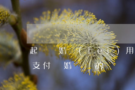 起訴離婚費(fèi)用由誰(shuí)支付(離婚訴訟的訴訟費(fèi)由誰(shuí)承擔(dān))