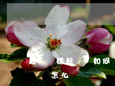 起訴離婚起訴書如何寫(向法院起訴離婚的起訴書怎么寫)