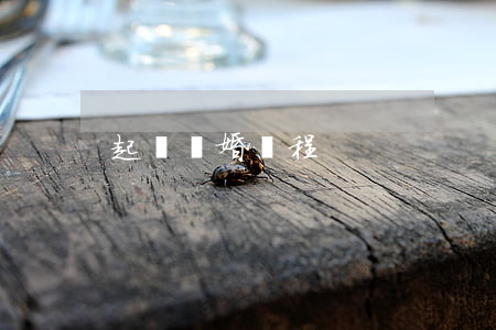 起訴離婚過程