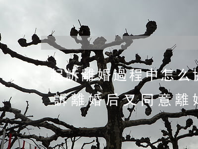起訴離婚過程中怎么協(xié)議離婚(起訴離婚后又同意離婚了要怎么協(xié)議離婚)