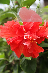 起訴離婚都有什么程序(如何起訴離婚程序)