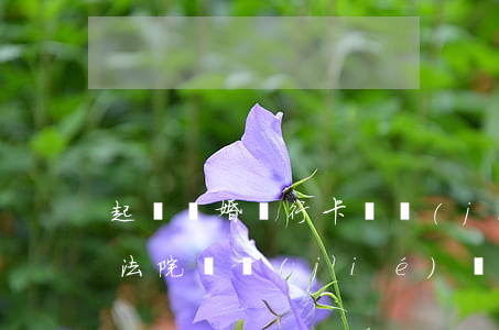 起訴離婚銀行卡凍結(jié)怎么解(離婚法院凍結(jié)會凍結(jié)所有的銀行卡嗎)