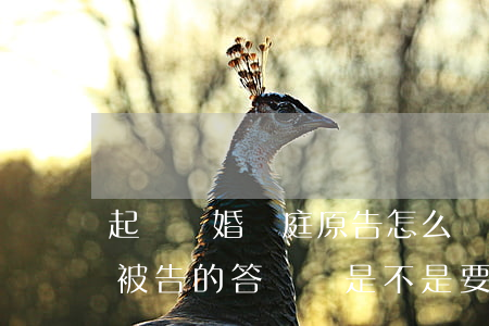 起訴離婚開庭原告怎么為自己辯護(起訴離婚被告的答辯狀是不是要給原告看?)