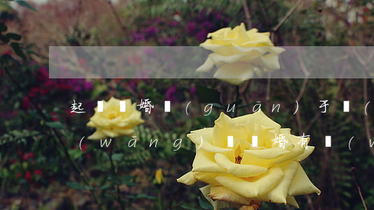 起訴離婚關(guān)于個(gè)人網(wǎng)貸(離婚有網(wǎng)貸,債務(wù)共擔(dān)嗎)